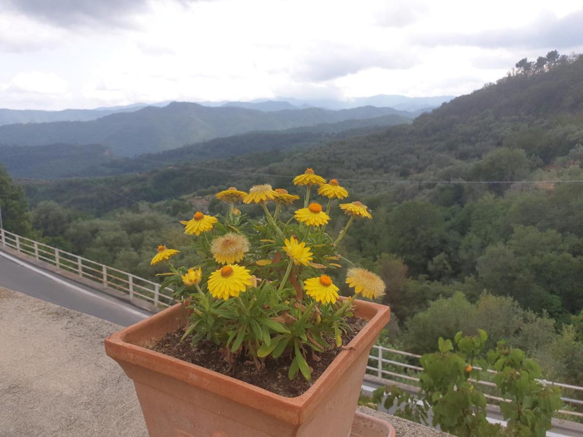 Bed & Breakfast Ca' Di Vissai Arnasco Ngoại thất bức ảnh