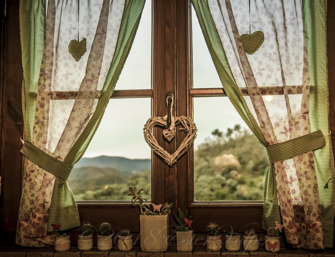 Bed & Breakfast Ca' Di Vissai Arnasco Ngoại thất bức ảnh