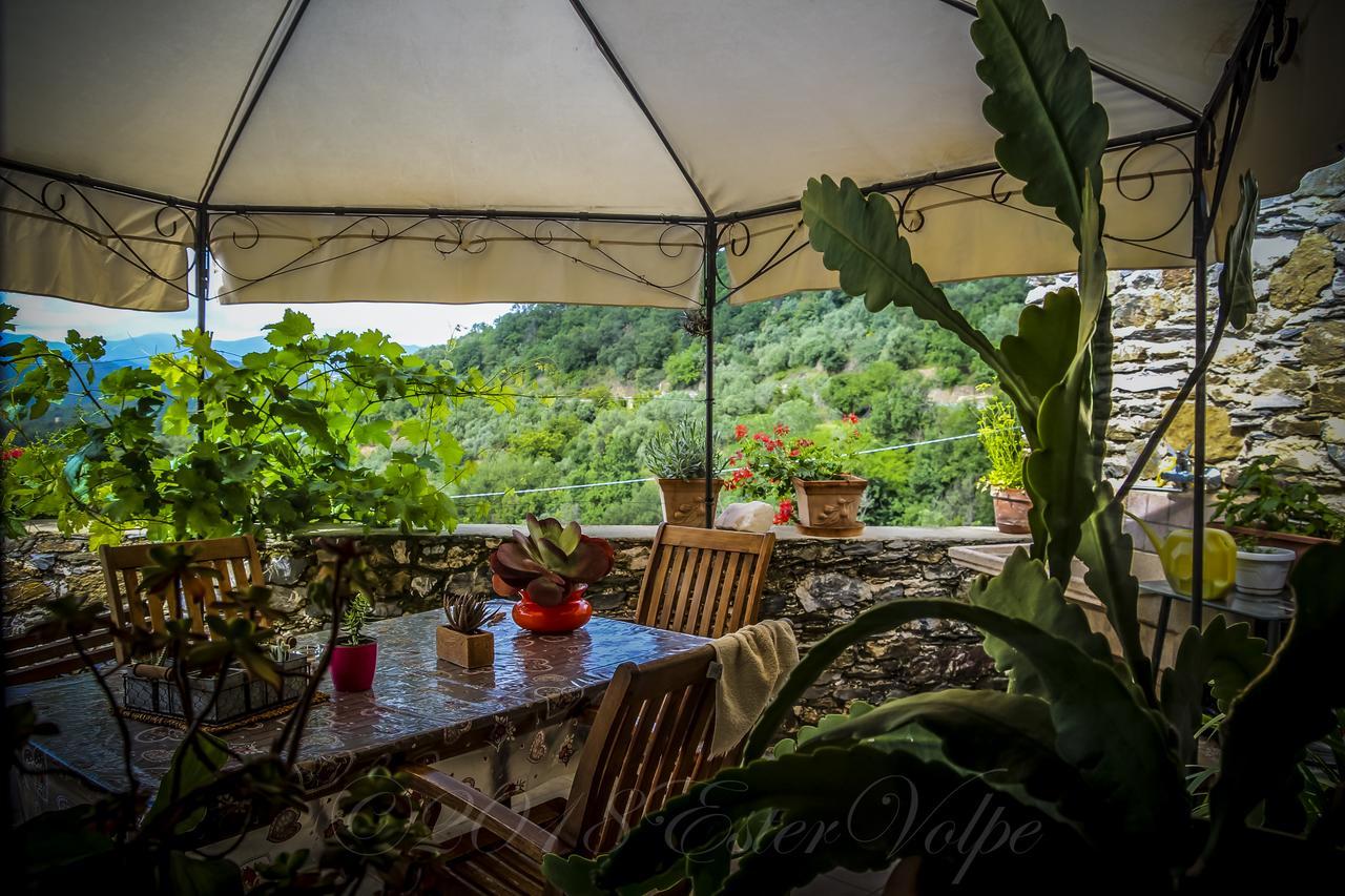 Bed & Breakfast Ca' Di Vissai Arnasco Ngoại thất bức ảnh